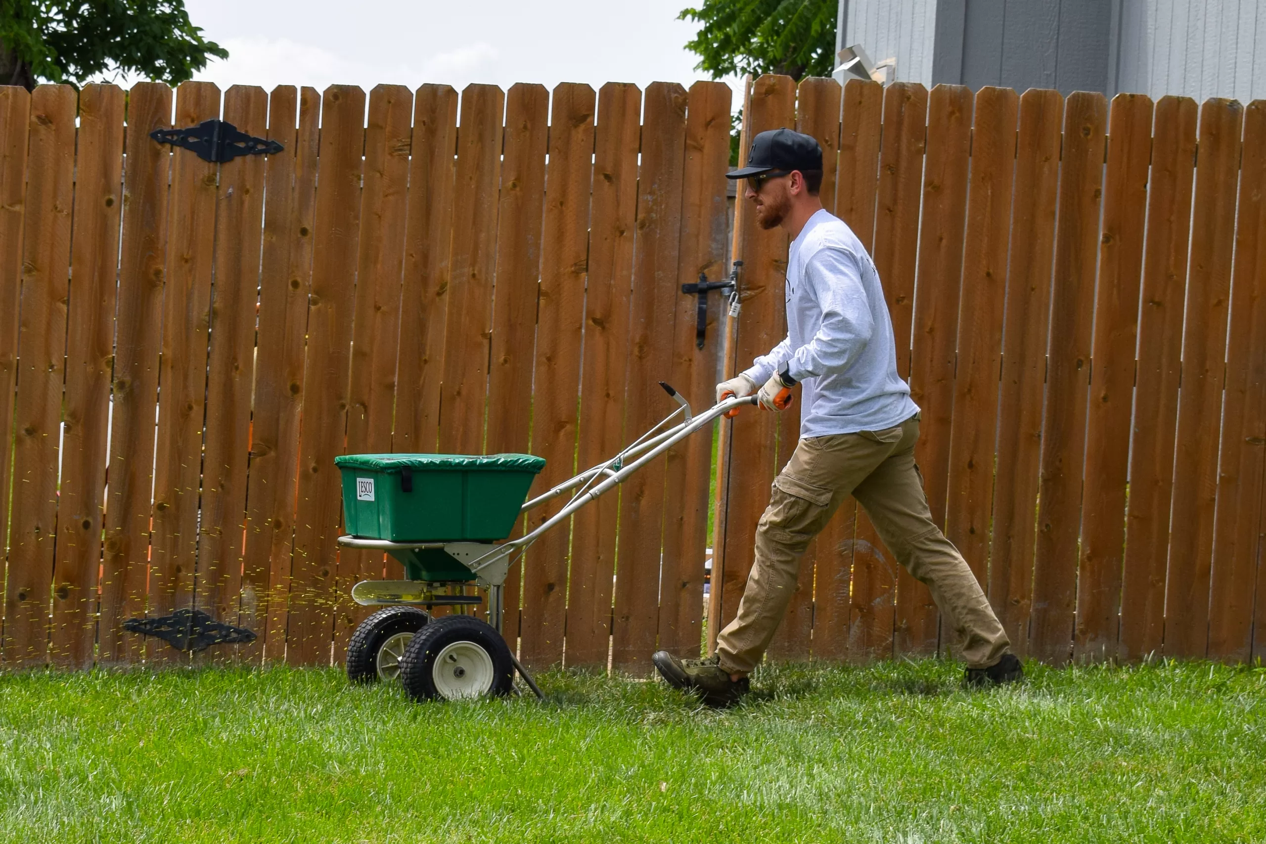 Lawn Fertilizer